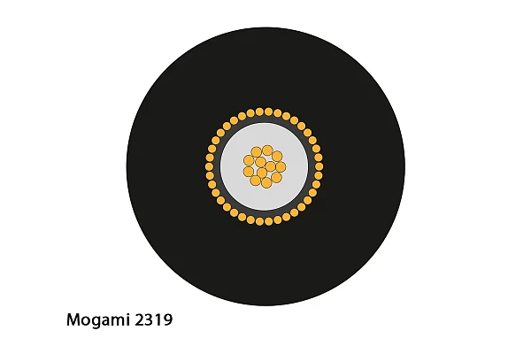 Mogami 2319 Guitar Cable